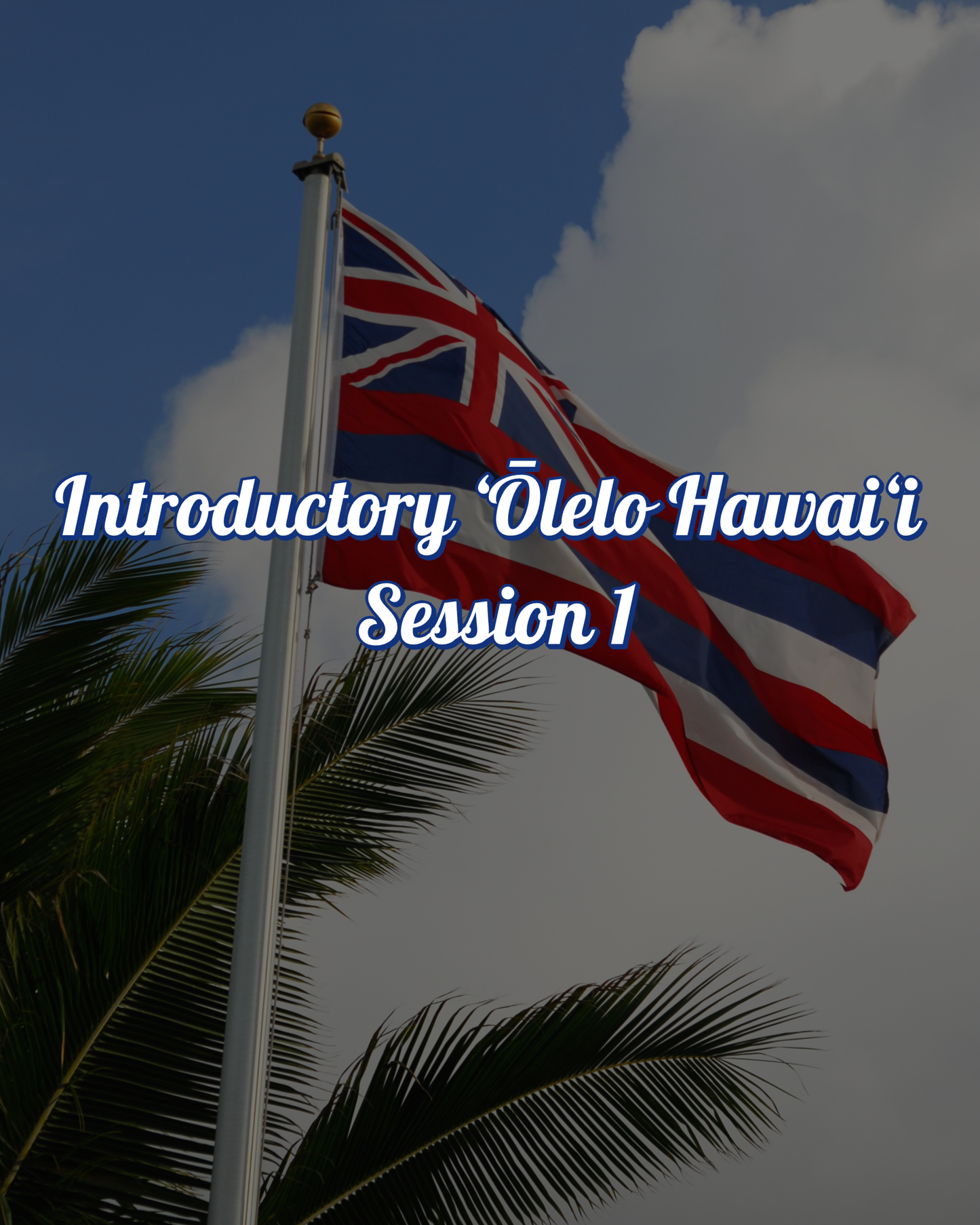 Introductory ʻŌlelo Hawaiʻi