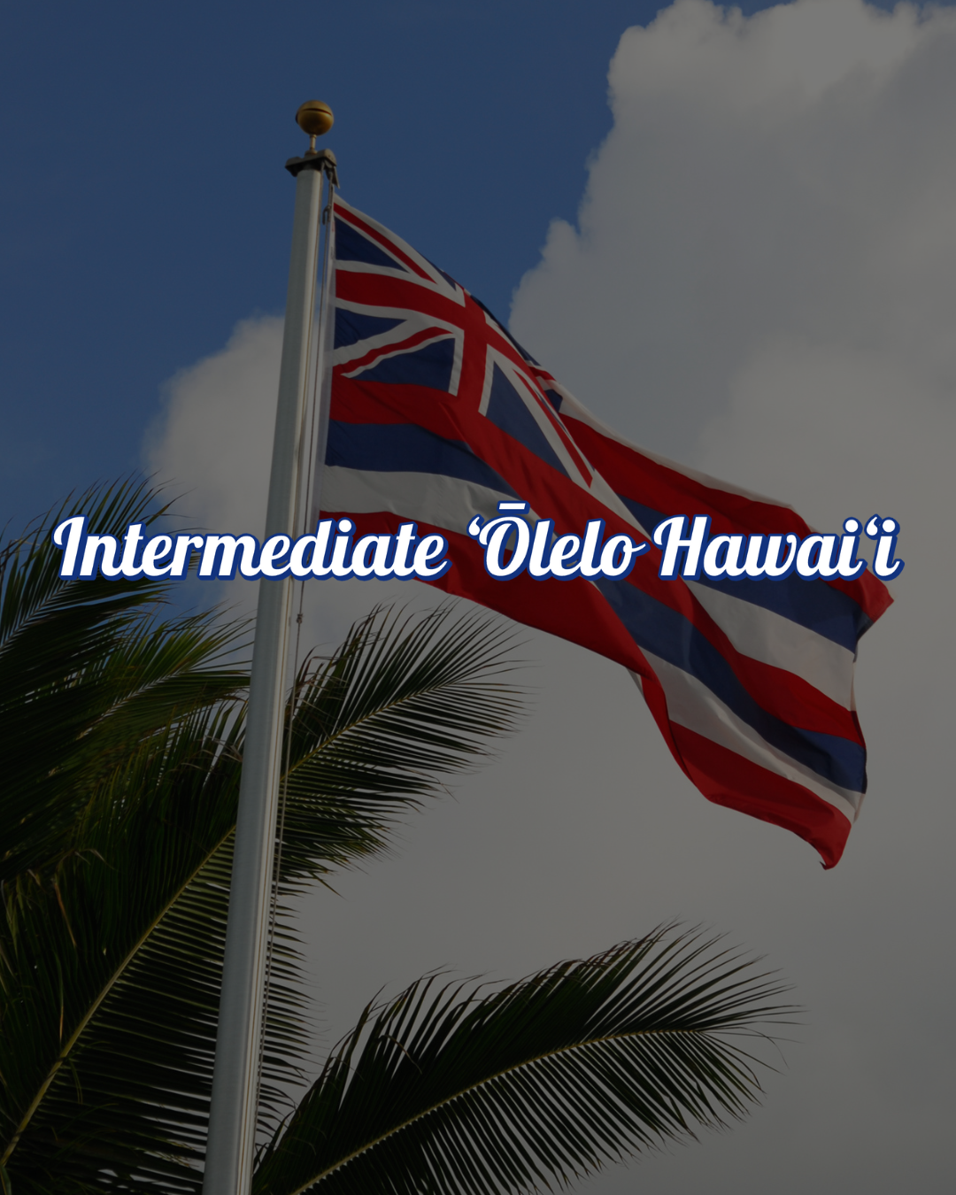 Intermediate ʻŌlelo Hawaiʻi